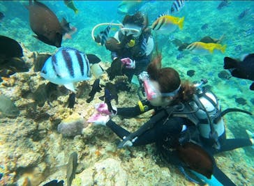 武藤潜水に投稿された画像（2021/7/15）