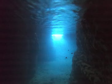 武藤潜水に投稿された画像（2021/7/15）