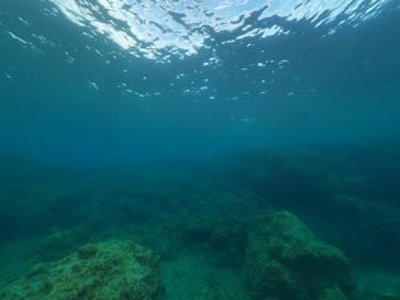 DIVING-SHOP SUNSに投稿された画像（2021/7/15）