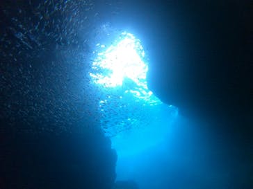 武藤潜水に投稿された画像（2021/7/15）