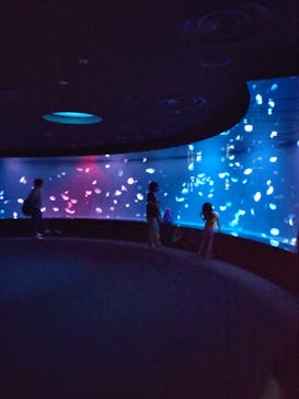 サンシャイン水族館に投稿された画像（2021/7/15）