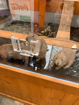 横浜・八景島シーパラダイスに投稿された画像（2021/7/15）