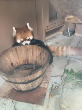 横浜・八景島シーパラダイスに投稿された画像（2021/7/15）