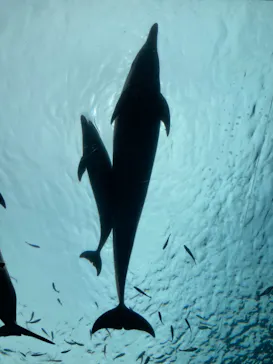 横浜・八景島シーパラダイスに投稿された画像（2021/7/15）