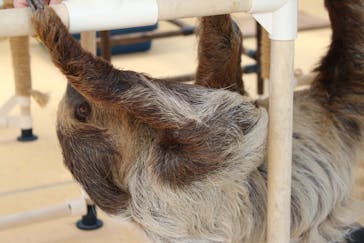 大分マリーンパレス水族館 「うみたまご」に投稿された画像（2021/7/15）