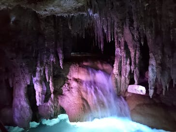 おきなわワールドに投稿された画像（2021/7/16）