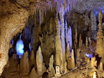 おきなわワールドに投稿された画像（2021/7/16）