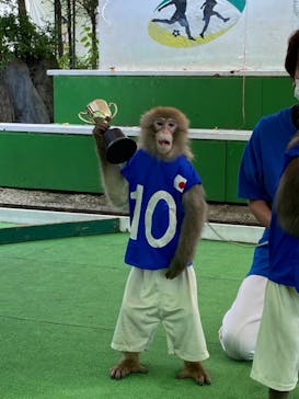 おさるランド＆アニタウン　日光さる軍団劇場に投稿された画像（2021/7/16）