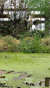 神戸どうぶつ王国に投稿された画像（2021/7/16）