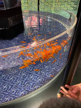 すみだ水族館に投稿された画像（2021/7/16）