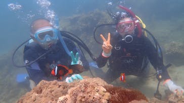 ダイビングショップ Sea Free（シーフリー）に投稿された画像（2021/7/16）