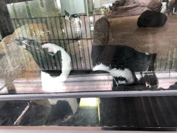 京都水族館に投稿された画像（2021/7/16）