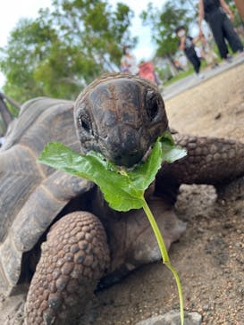 神戸どうぶつ王国に投稿された画像（2021/7/16）