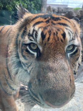 神戸どうぶつ王国に投稿された画像（2021/7/16）