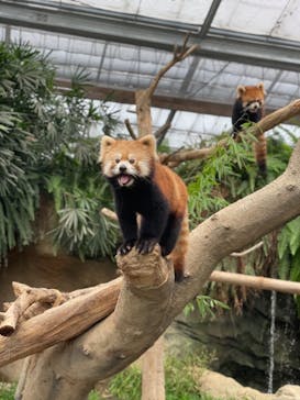 神戸どうぶつ王国に投稿された画像（2021/7/16）