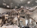 国立科学博物館に投稿された画像（2021/7/17）