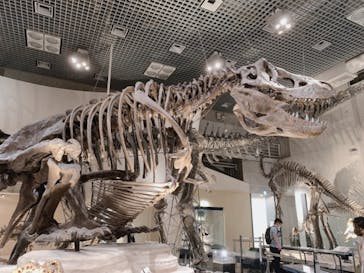 国立科学博物館に投稿された画像（2021/7/16）