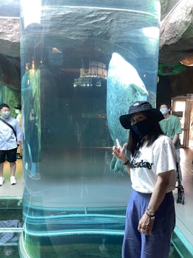 旭川市旭山動物園に投稿された画像（2021/7/16）