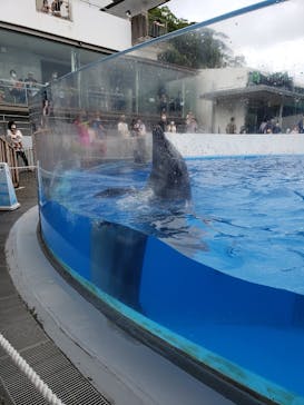九十九島水族館海きららに投稿された画像（2021/7/16）