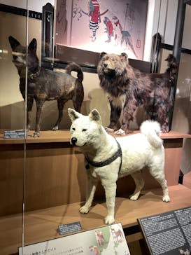 国立科学博物館に投稿された画像（2021/7/17）