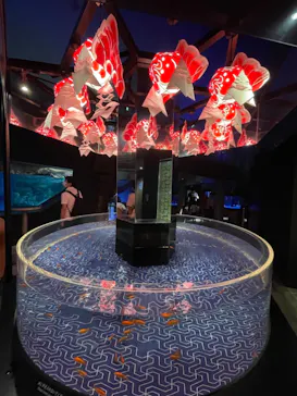 すみだ水族館に投稿された画像（2021/7/17）