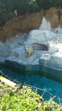 天王寺動物園に投稿された画像（2021/7/17）