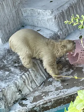 天王寺動物園に投稿された画像（2021/7/17）