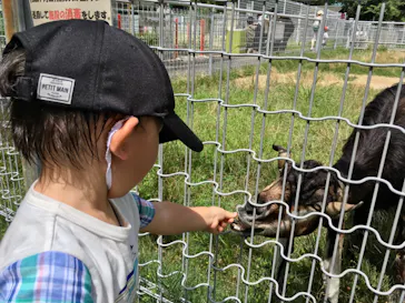 天王寺動物園に投稿された画像（2021/7/17）