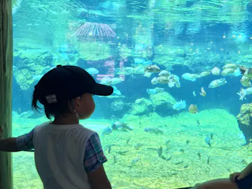 天王寺動物園に投稿された画像（2021/7/17）