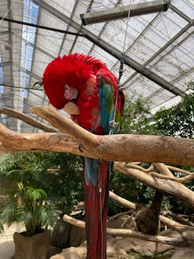 神戸どうぶつ王国に投稿された画像（2021/7/17）