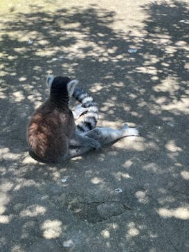 神戸どうぶつ王国に投稿された画像（2021/7/17）