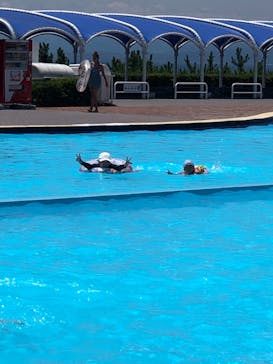 大磯ロングビーチに投稿された画像（2021/7/17）