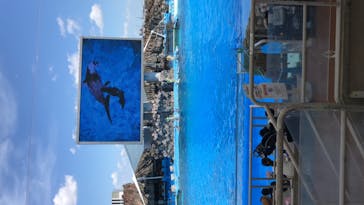 名古屋港水族館に投稿された画像（2021/7/17）