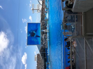 名古屋港水族館に投稿された画像（2021/7/17）