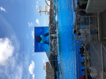 名古屋港水族館に投稿された画像（2021/7/17）