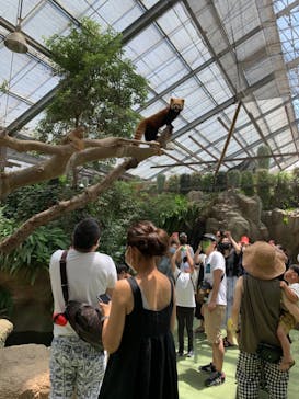 神戸どうぶつ王国に投稿された画像（2021/7/17）