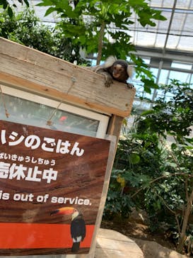 神戸どうぶつ王国に投稿された画像（2021/7/17）