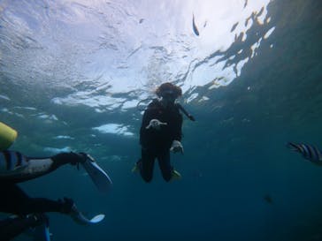 武藤潜水に投稿された画像（2021/7/17）