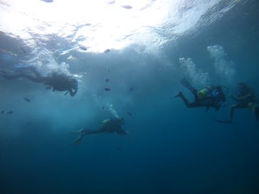 武藤潜水に投稿された画像（2021/7/17）