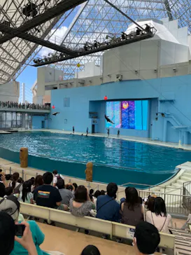 横浜・八景島シーパラダイスに投稿された画像（2021/7/17）