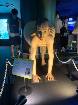 サンシャイン水族館に投稿された画像（2021/7/17）