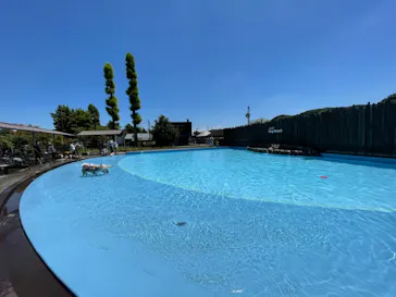 わんダフルネイチャーヴィレッジに投稿された画像（2021/7/17）