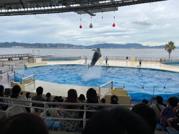 マリンワールド海の中道に投稿された画像（2021/7/17）