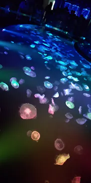 すみだ水族館に投稿された画像（2021/7/17）