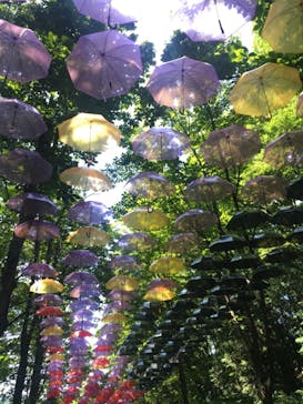 ムーミンバレーパークに投稿された画像（2021/7/17）