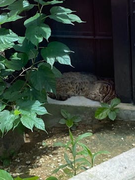 沖縄こどもの国に投稿された画像（2021/7/17）