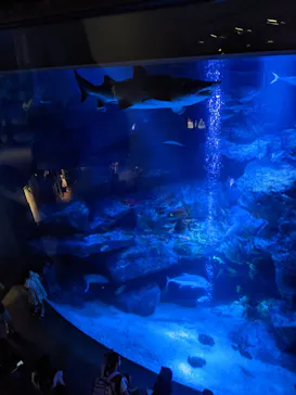 すみだ水族館に投稿された画像（2021/7/17）