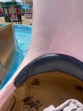 ひらかたパークに投稿された画像（2021/7/17）