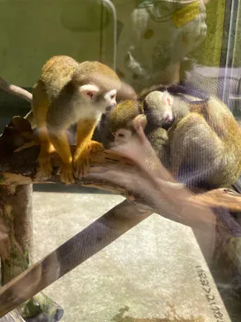 ひらかたパークに投稿された画像（2021/7/17）