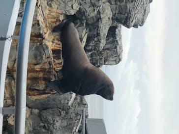大分マリーンパレス水族館 「うみたまご」に投稿された画像（2021/7/17）